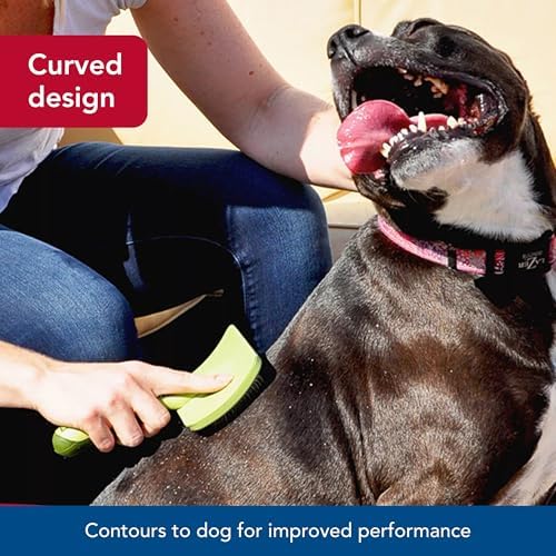 Coastal Pet Safari Curved Firm Slicker Brush - Image 4