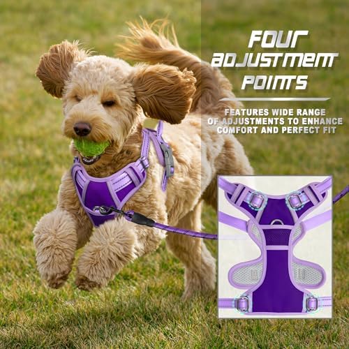 BARKBAY Dog Harness No Pull for Small Sized Dog Front Back Clips, Dog Vest - Image 6