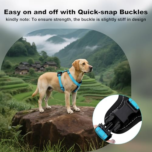 Plutus Pet No Pull Dog Harness - Image 6