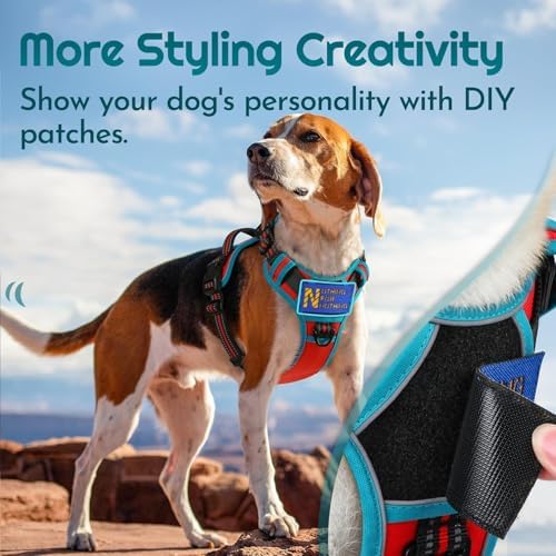 Eagloo Dog Harness No Pull for Medium Dogs, Easy On & Off - Image 3