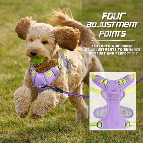 BARKBAY Dog Harness No Pull for Small Sized Dog Front Back Clips, Dog Vest - Image 6