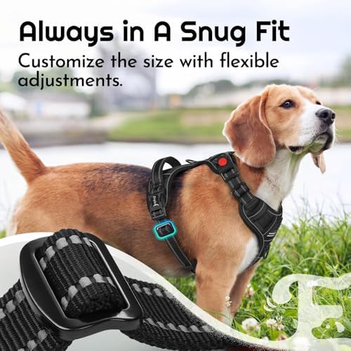 Eagloo Dog Harness No Pull for Small Dogs, Easy On & Off - Image 4