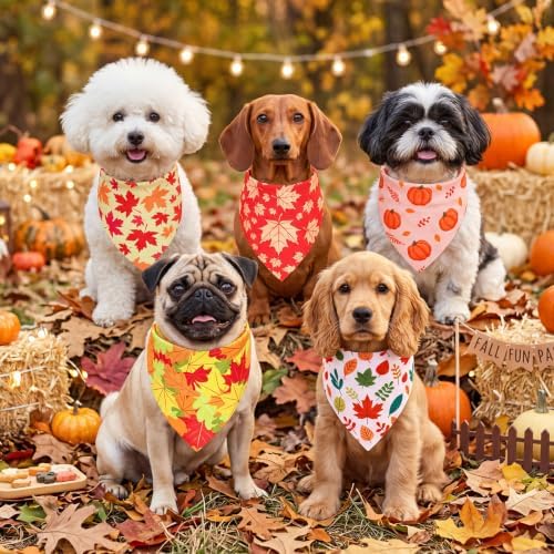 Preboun 100 Pcs Fall Thanksgiving Dog Bandanas Bulk, Pumpkin & Maple Leaves - Image 5
