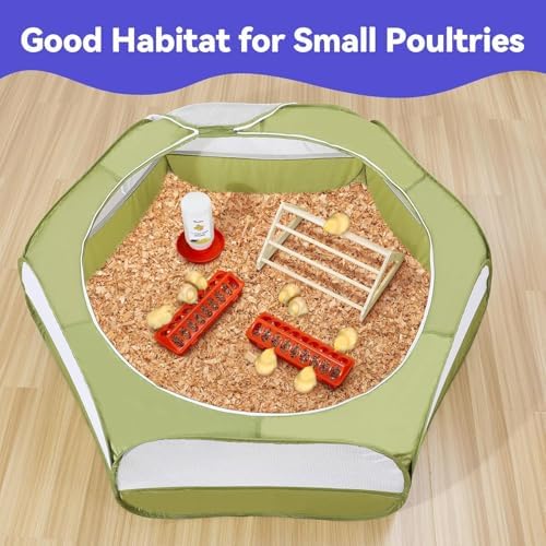 Pawaboo Chick Brooder Box for Chick Starter Kit - Image 7