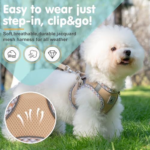 Dog Harness and Leash Set, No Pull Pet Harness - Image 2