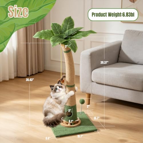 Cat Scratching Post - Image 4