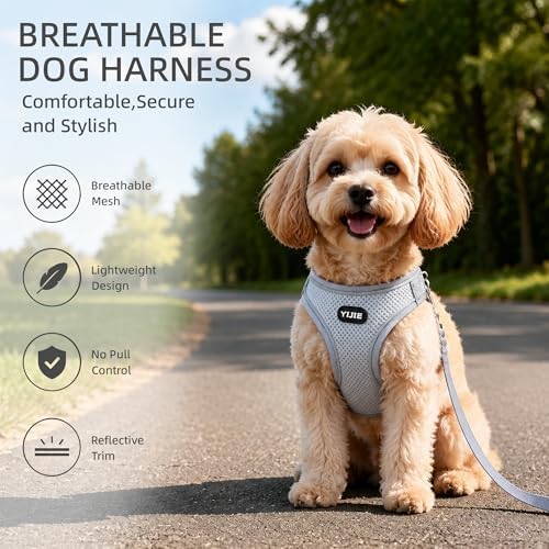 ROYPET Step-in Air Dog Harness, All Weather Mesh Step in Vest Harness - Image 3