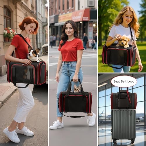 EliteField Soft-Sided Pet Carrier - Image 3