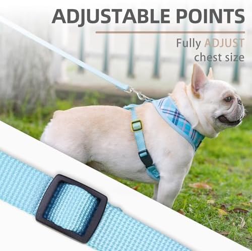 PUPTECK Small Dog Harness and Leash Set No Pull - Image 3