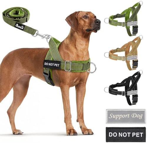 Lukovee No Pull Dog Harness and Leash Set, Soft Padded by Lukovee