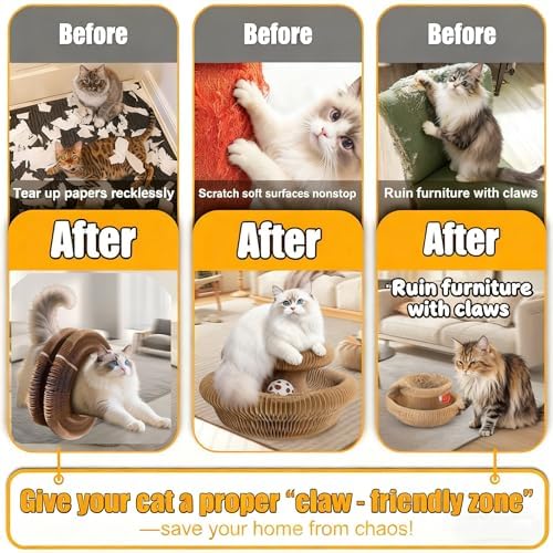 Cat Scratcher Toys for Indoor Cats - Image 4