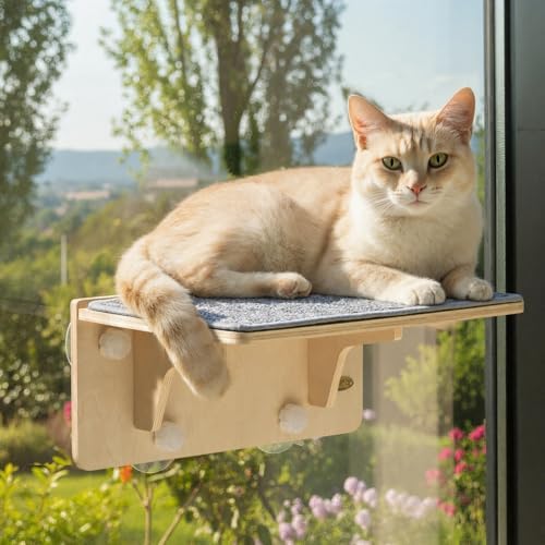 Pecute 2-in-1 Cat Window Perch & Wall Shelves, Cat Hammock Window 16"x10" by pecute