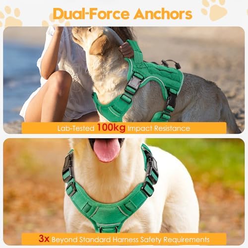 Heavy-Duty Tactical Dog Harness - Image 4