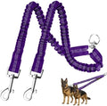 MingXpet 2 Dog Leash, Dog Leash by MingXpets