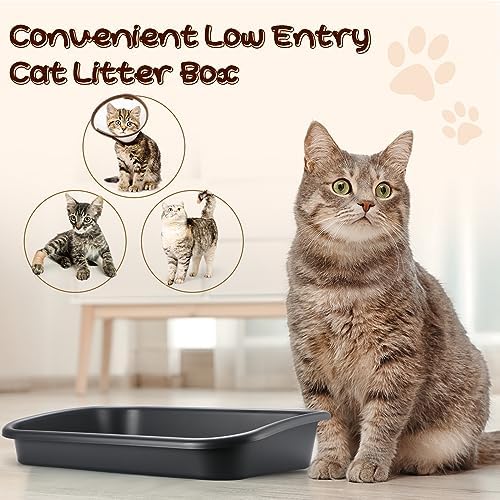 Uiifan 3Pcs Large Low Entry Cat Litter Box, Dark Gray - Image 5