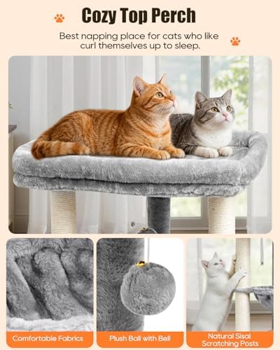 SYANDLVY Small Cat Tree for Indoor Cats - Image 4