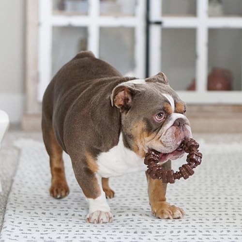 Nylabone Power Chew Customer Favorites Dog Chew Toys - Image 2