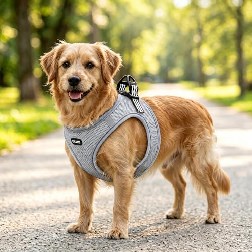 ROYPET Step-in Air Dog Harness, All Weather Mesh Step in Vest Harness - Image 7