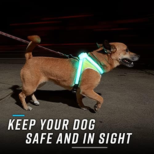 noxgear LightHound Light Up Reflective Dog Harness - Image 5
