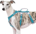 Huntboo Escape Proof Dog Harness, No Pull Reflective Harness by Huntboo
