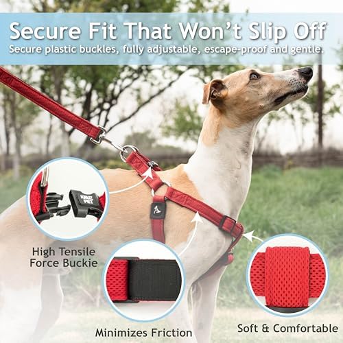 Kruz No Pull Dog Harness Heavy-Duty Pet Harness - Image 2