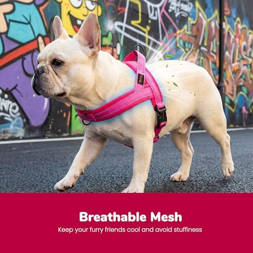 Didog No Pull Dog Harness for Small Dogs, Breathable Mesh Padded, Hot Pink - Image 2