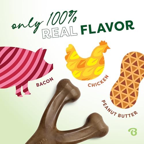 Benebone 3-Pack Wishbone Dog Chew Toy - Image 2