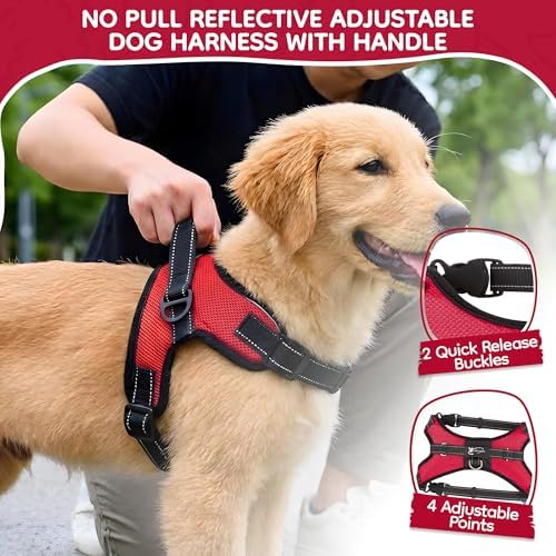 No Pull Reflective Adjustable Dog Harness - Image 2