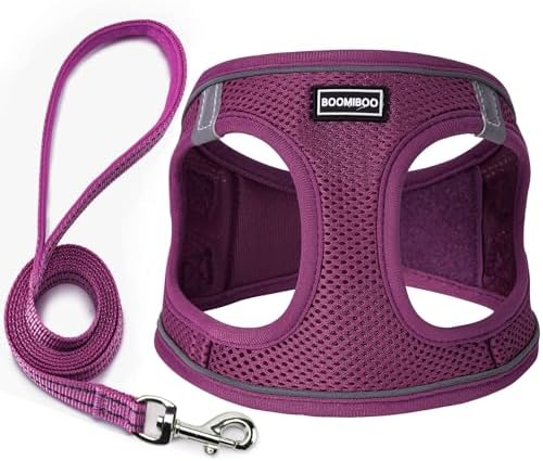 Dog Harness with Leash Set, Step-in Adjustable Puppy Pet Vest, Cranberry XL by BOOMIBOO