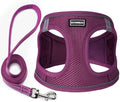 Dog Harness with Leash Set, Step-in Adjustable Puppy Pet Vest, Cranberry XL by BOOMIBOO