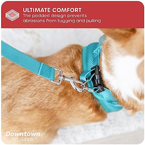Downtown Pet Supply Step-in Dog Harness – No Pull, Adjustable Padded Mesh - Image 6