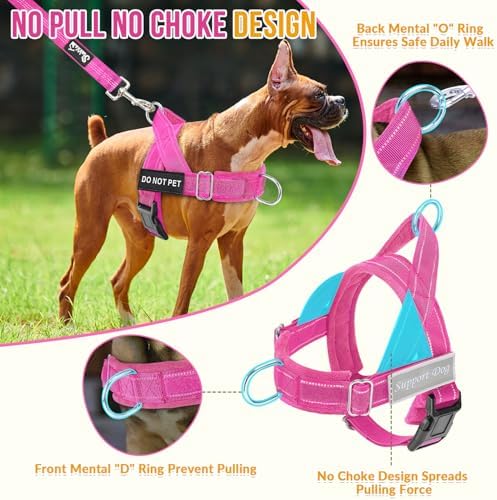 Lukovee No Pull Dog Harness and Leash Set, Soft Padded - Image 2