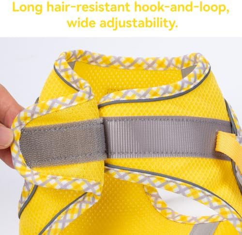 Petank Step in Dog Harness No Pull and Leash - Image 5