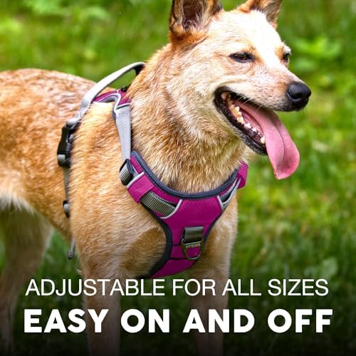 Embark No Pull Dog Harness, Reflective Adjustable Training Vest, No Choke - Image 6