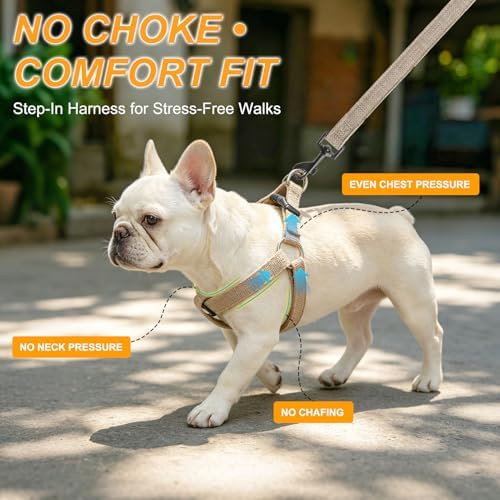 BEAUTYZOO No Pull Linen Dog Harness and Leash Set - Image 2