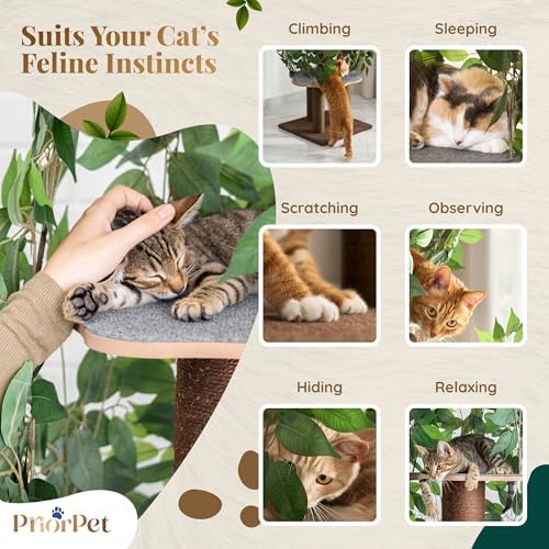 Cat Tree with Leaves – Stable & Space-Saving Design – 4 Scratch Levels & 5 - Image 6