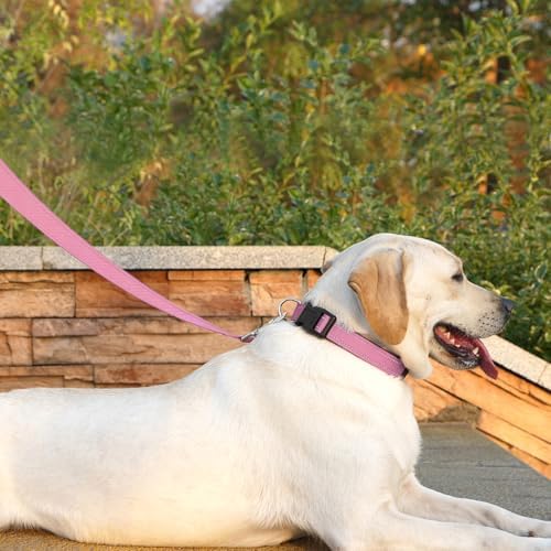 6 FT Basic Dog Leash for Medium Dogs - Image 3