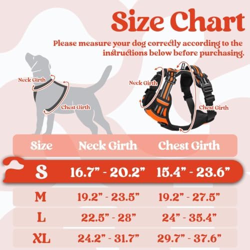rabbitgoo Dog Harness Small Sized, Updated Easy On & Off - Image 2
