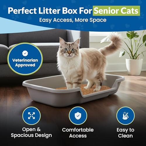 KittyGoHere Senior Cat Litter Box, Large Litter Pan, 2 Pack, Misty Gray - Image 2