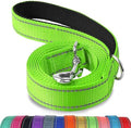 Joytale Reflective Dog Leash for Small Dogs, 5 FT x 3/4" by Joytale