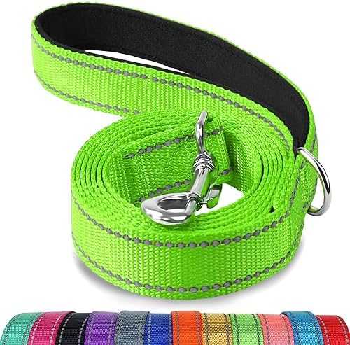 Joytale Reflective Dog Leash for Small Dogs, 5 FT x 3/4" by Joytale