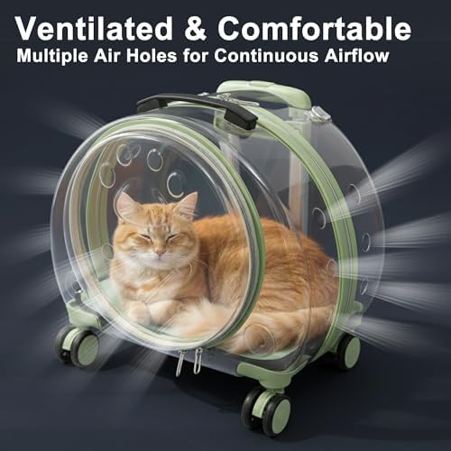 Transparent Hard Shell Cat Carrier - Image 5