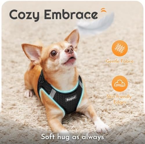 Eagloo Small Dog Harness and Leash Set, Step in Extra Small Puppy Pet Vest - Image 4