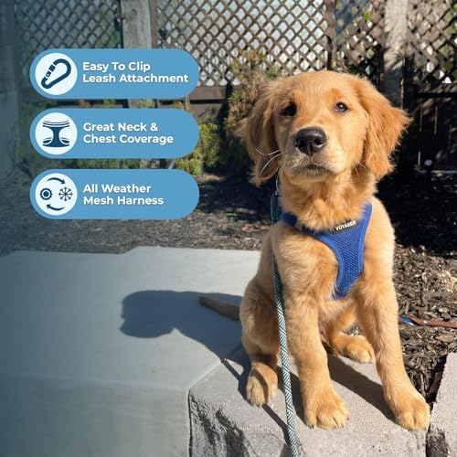 Best Pet Supplies Voyager Step-in Air All Weather Mesh Harness and Reflective - Image 5