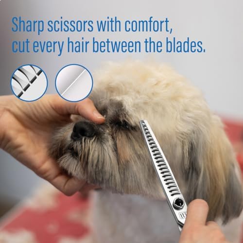 7 inch Dog Grooming Scissors - Image 2