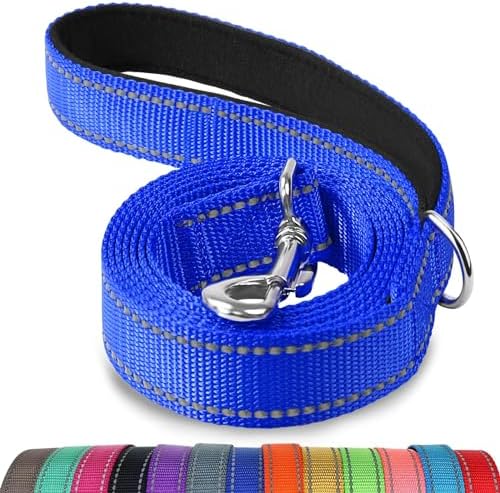 Joytale Reflective Dog Leash for Small Dogs, 6 FT x 3/4" by Joytale