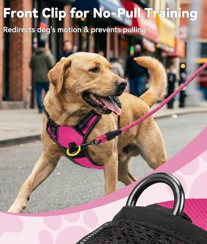 Joytale No Pull Dog Harness Medium Sized Dog, Front Clip, Hot Pink - Image 2