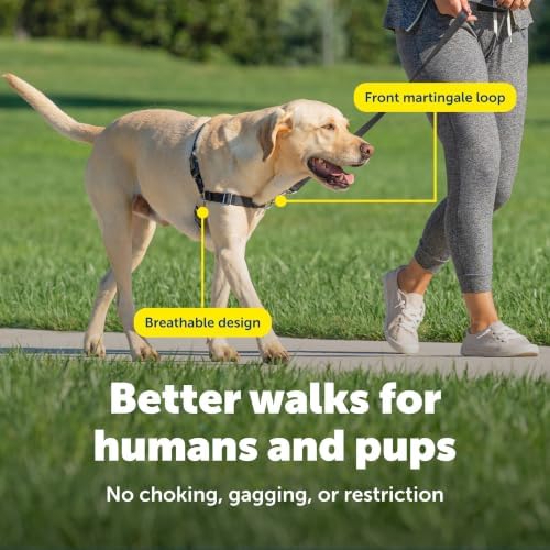 PetSafe Easy Walk Harness, No Pull Dog Harness - Image 5