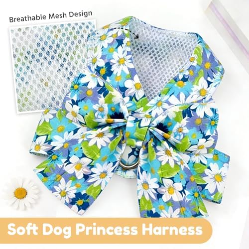 BAEJMJK Dog Harness and Leash Set - Image 5