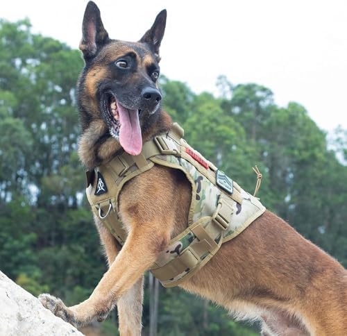 OneTigris Tactical Dog Harness - Image 5
